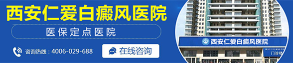 PC大图banner-7419661_副本.jpg