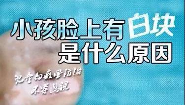6e3a8cae823a4c9a9c260ece2a61ec11.jpg